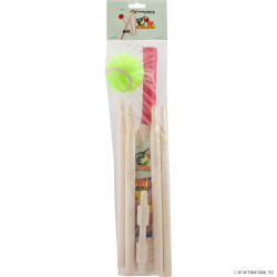 Mini Cricket Set Size  Packed In Poly Bag (Wo